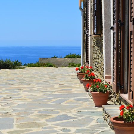 Agriturismo Finagliosu Palmadula Ngoại thất bức ảnh