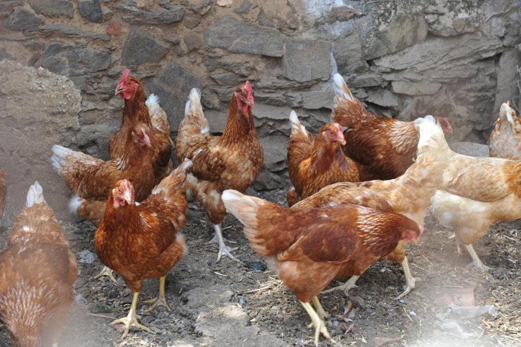 Agriturismo Finagliosu Palmadula Ngoại thất bức ảnh