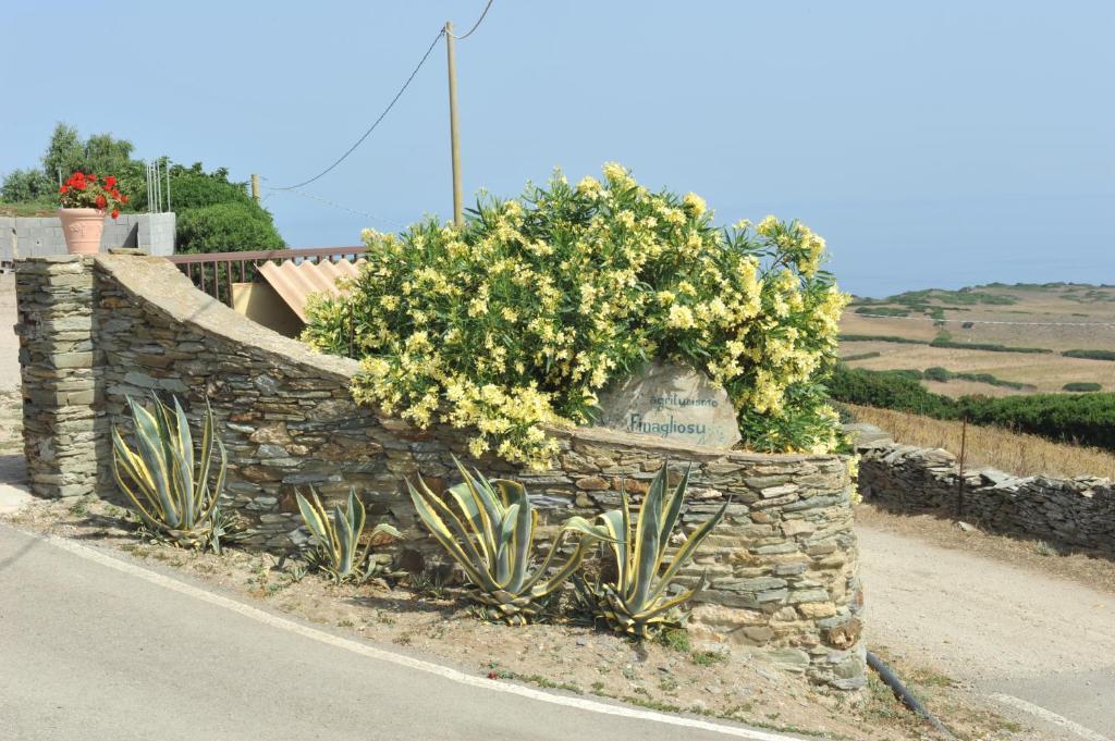 Agriturismo Finagliosu Palmadula Ngoại thất bức ảnh
